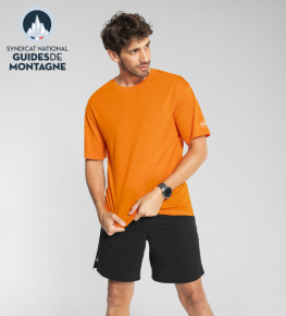 T-SHIRT LAINE MERINOS 145 H